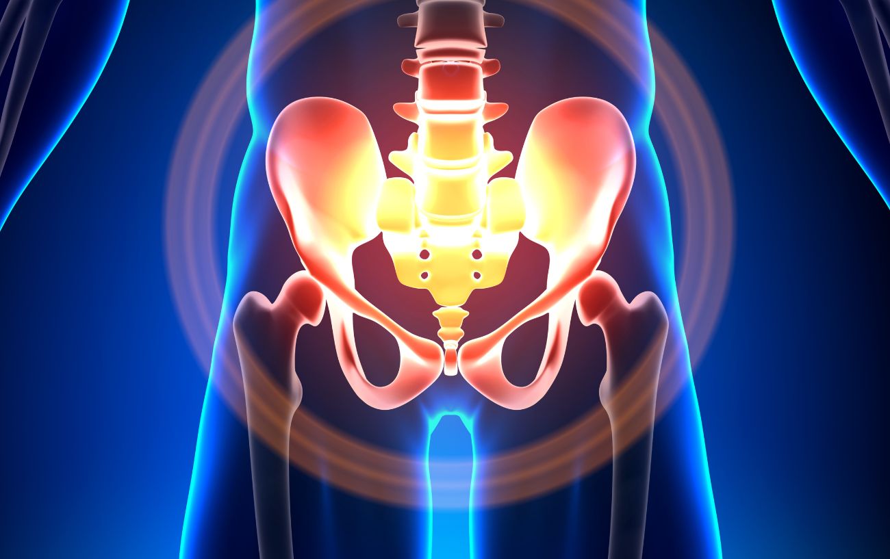 anatomy of the hips diagram