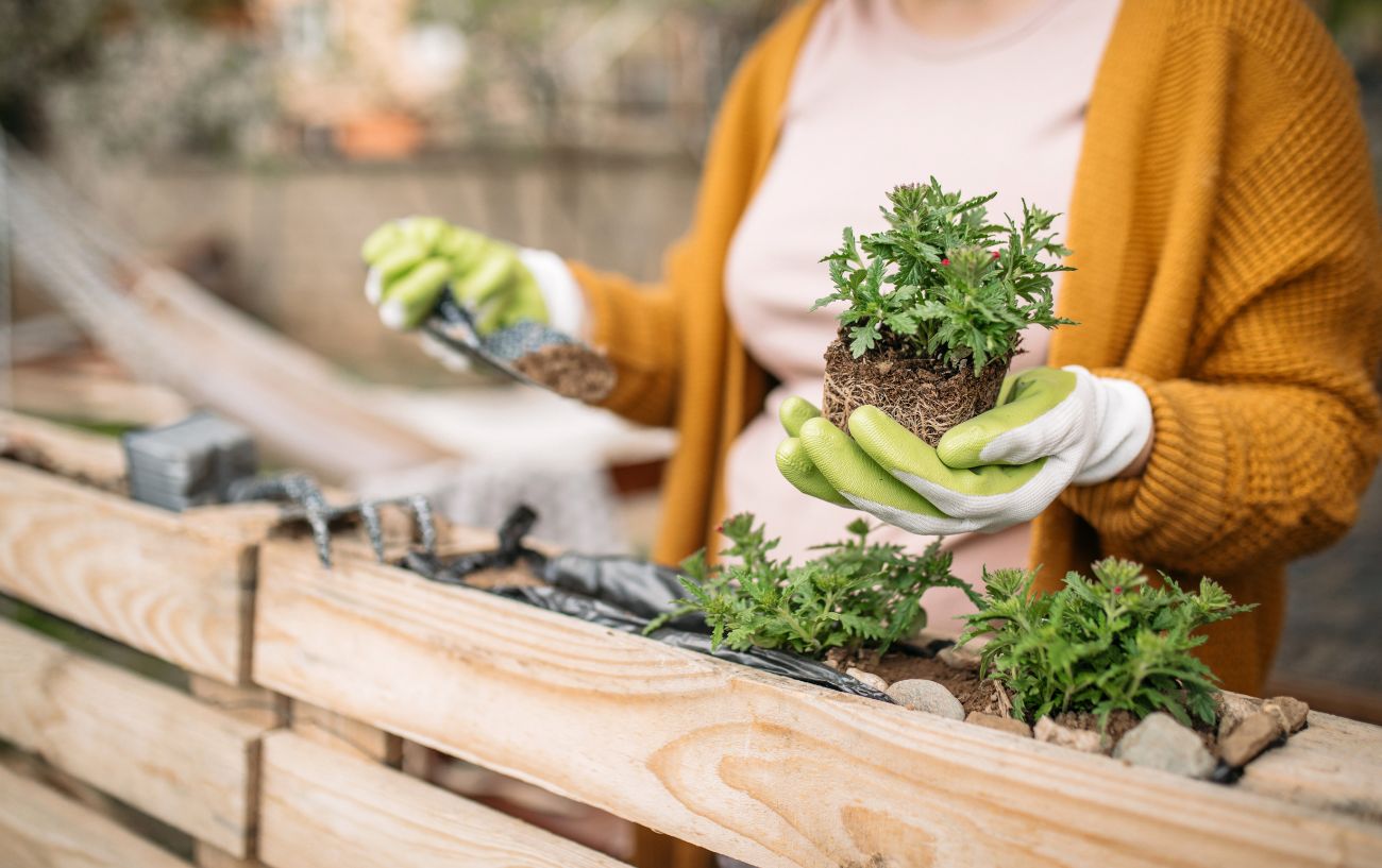 woman gardening and potting plants