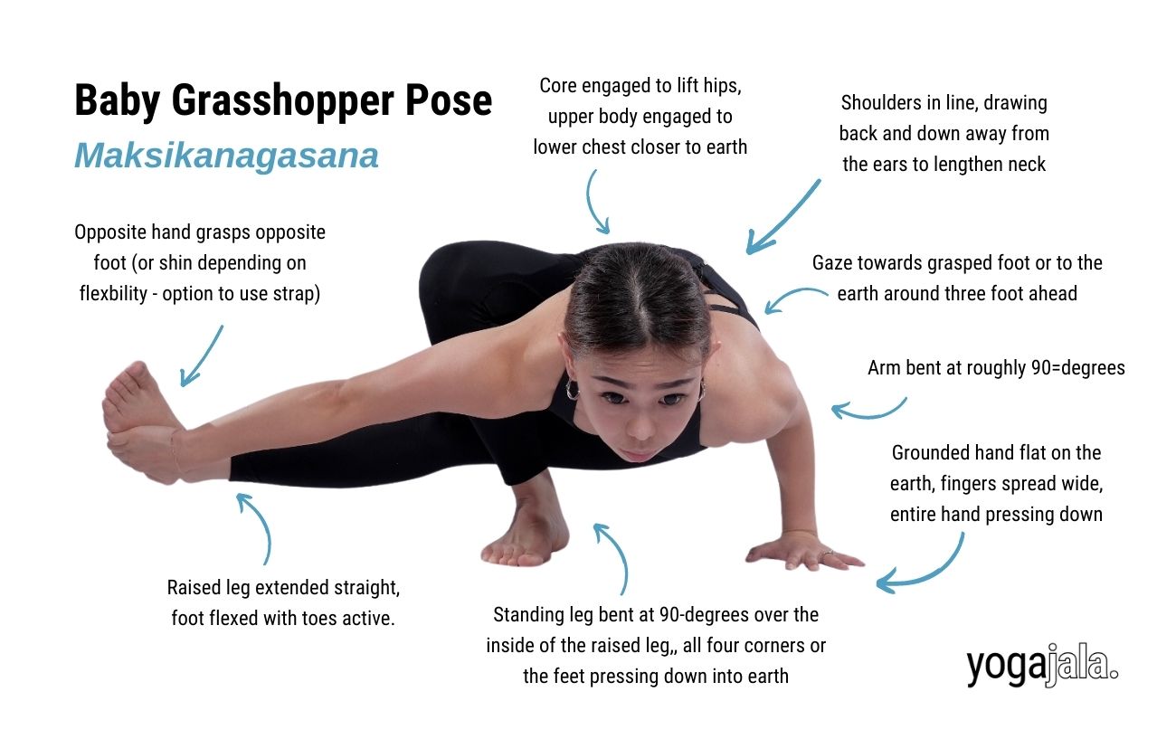 an annotated image of a woman wearing black yoga clothes doing baby grasshopper pose