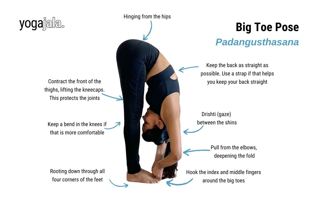 Big Toe Pose (Padangusthasana)