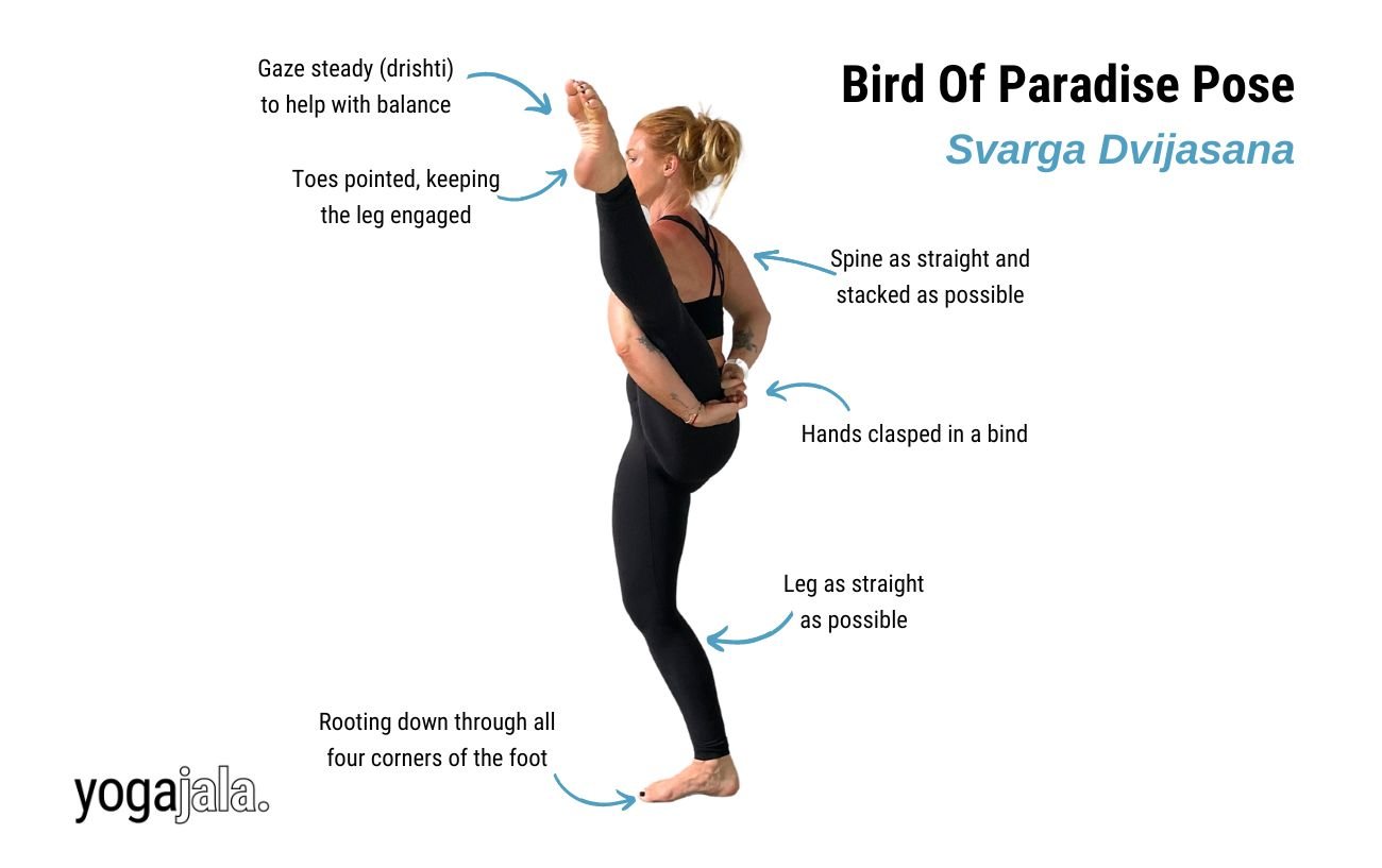 Bird Of Paradise Pose (Svarga Dvijasana)