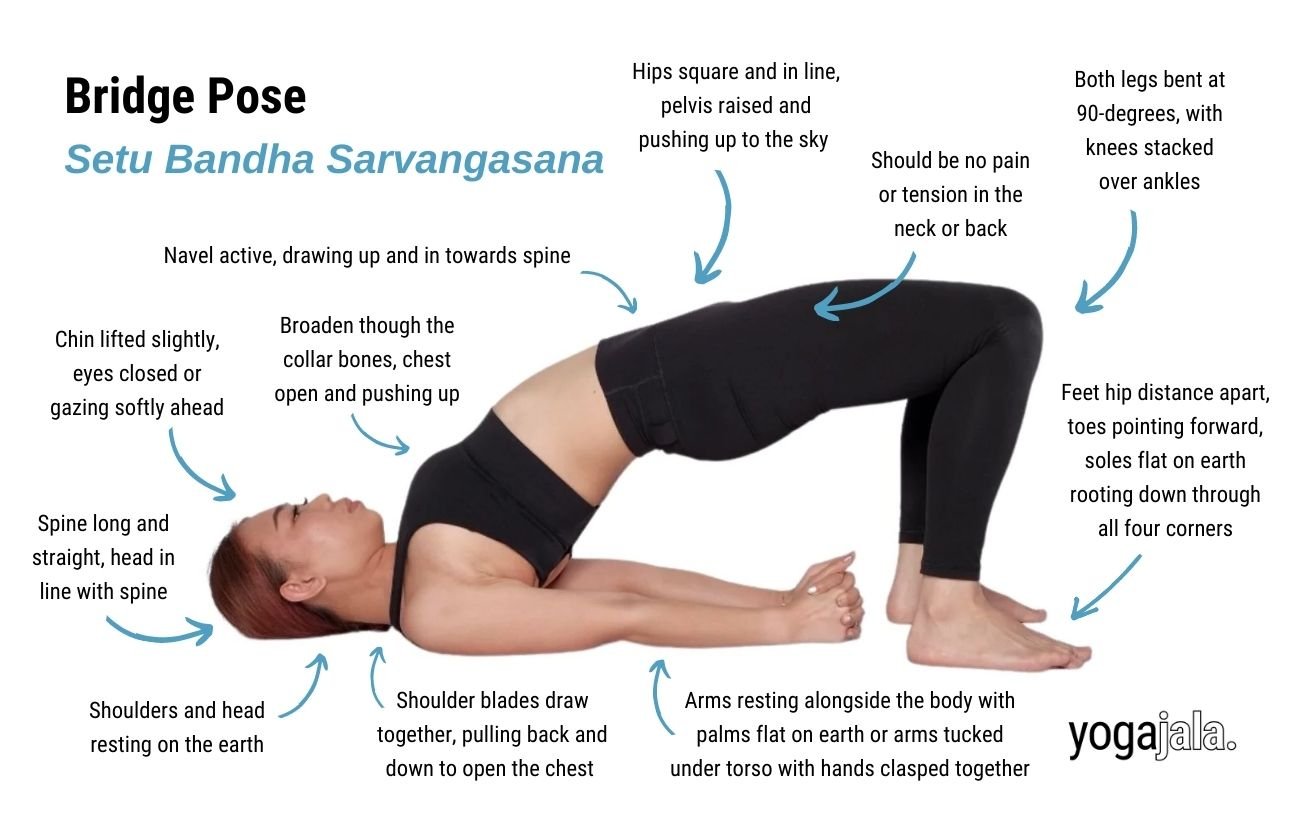 Bridge Pose (Setu Bandha Sarvangasana)