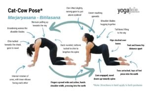 an annotated image of a woman wearing black yoga clothes doing cat cow pose