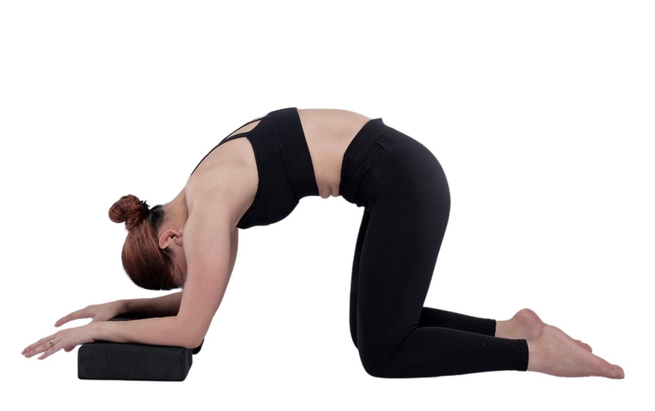 a picture of a woman in cat pose with her forearms resting on blocks