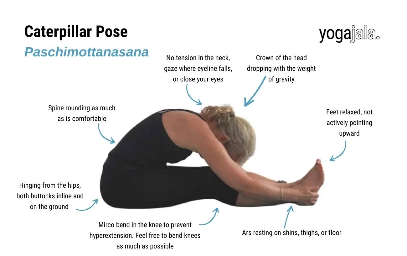 Caterpillar Pose, Paschimottanasana