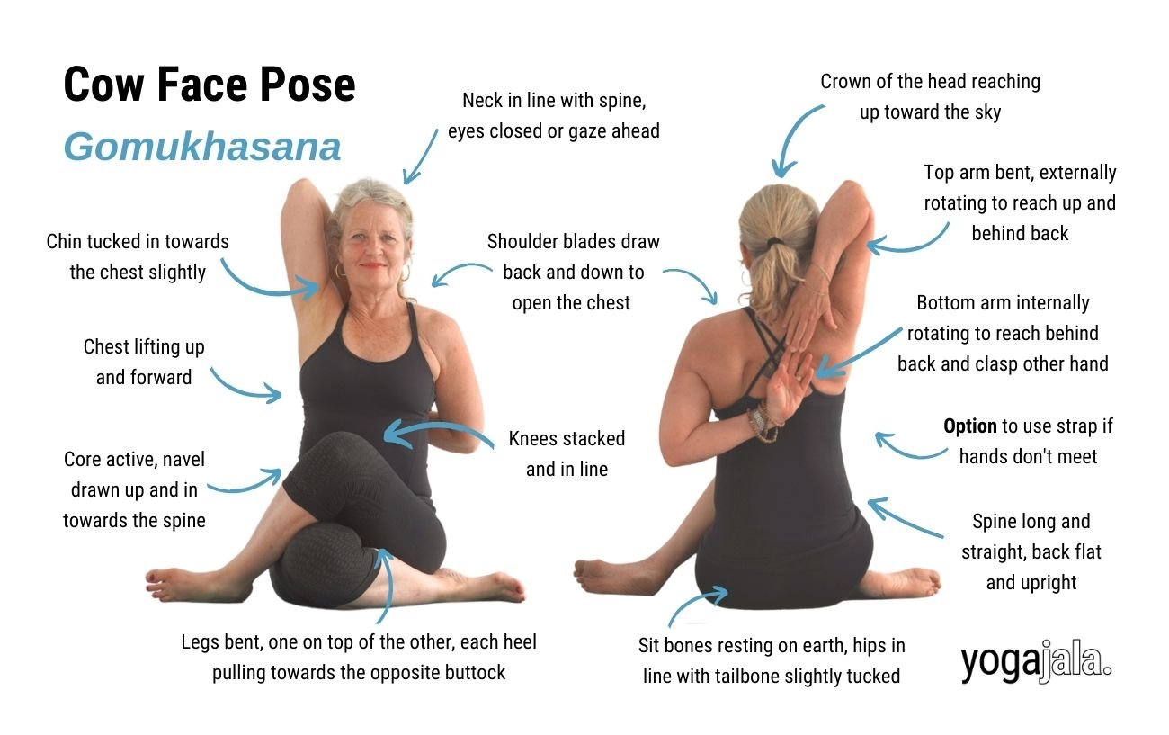 Cow Face Pose (Gomukhasana)