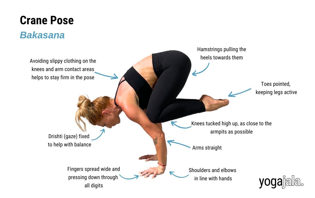 Crane Pose (Bakasana)