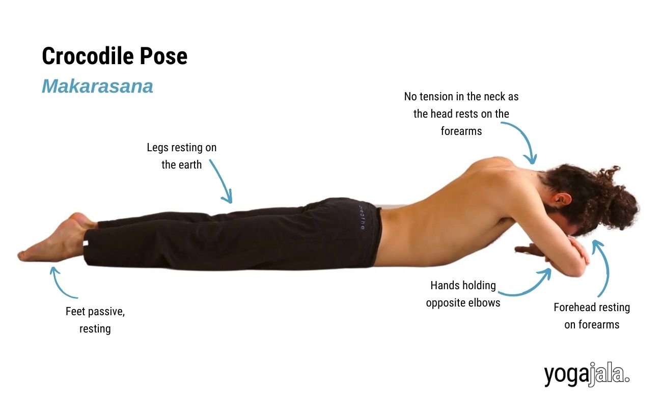 Crocodile Pose (Makarasana)