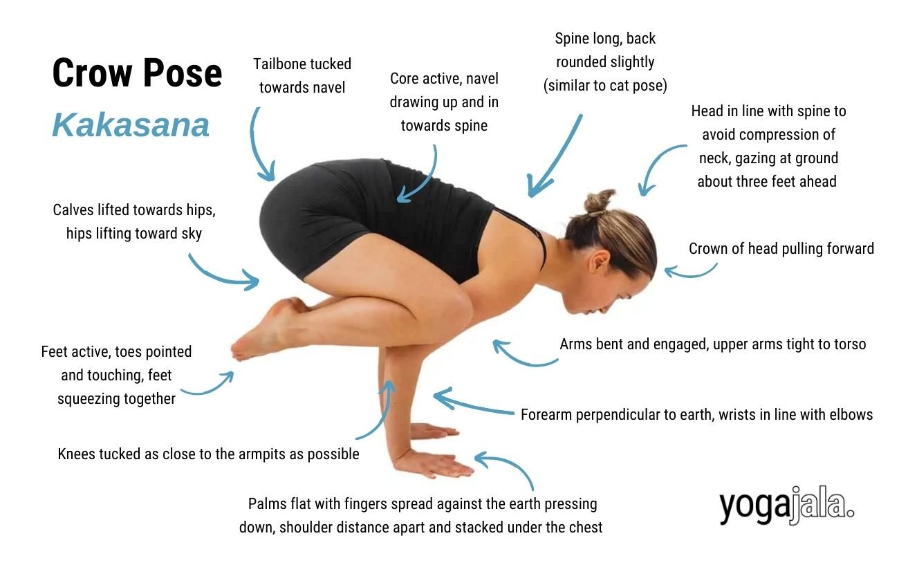 an annotated image of a woman wearing black yoga clothes doing crow pose