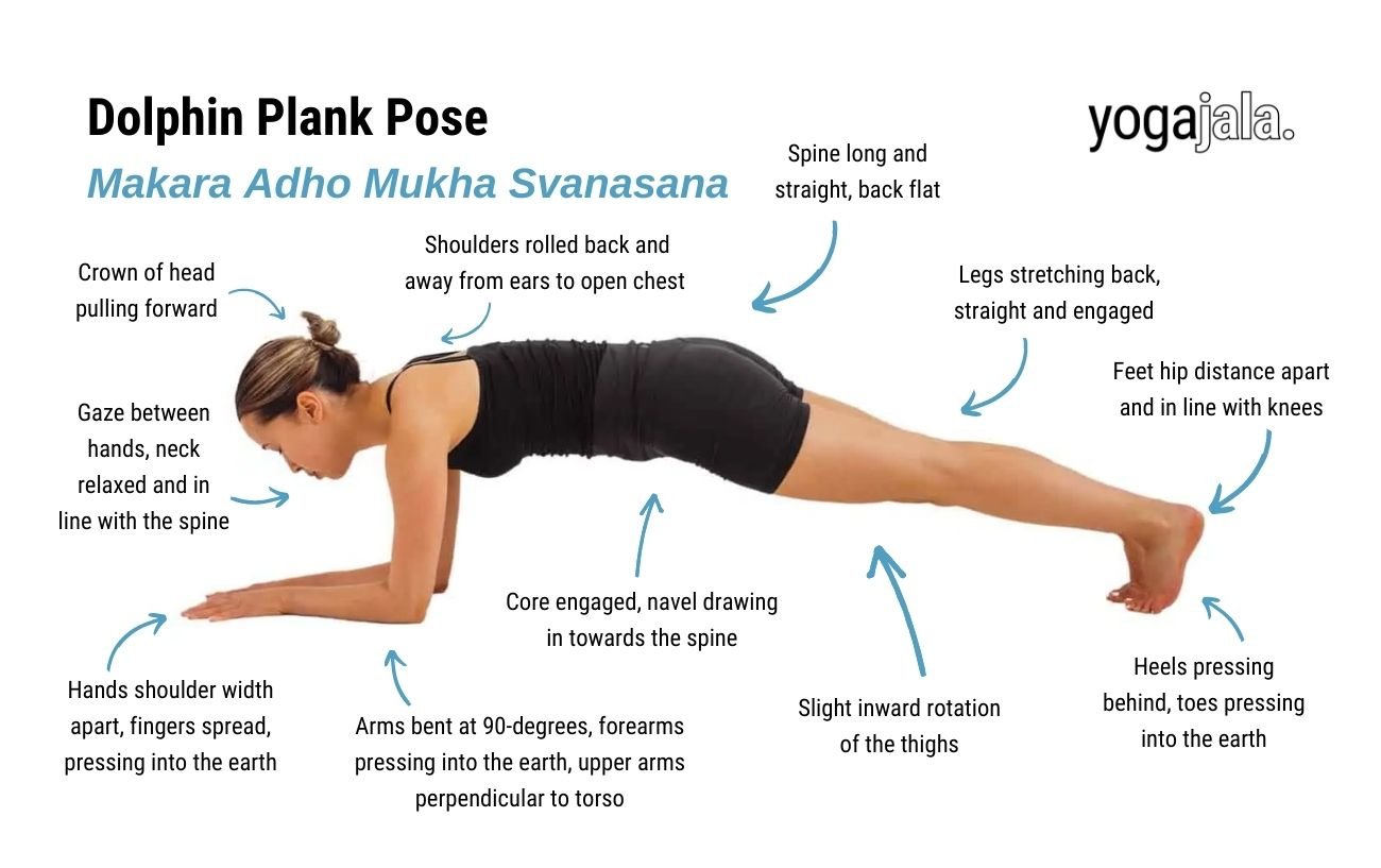 an annotated image of a woman wearing black yoga clothes doing dolphin plank Pose