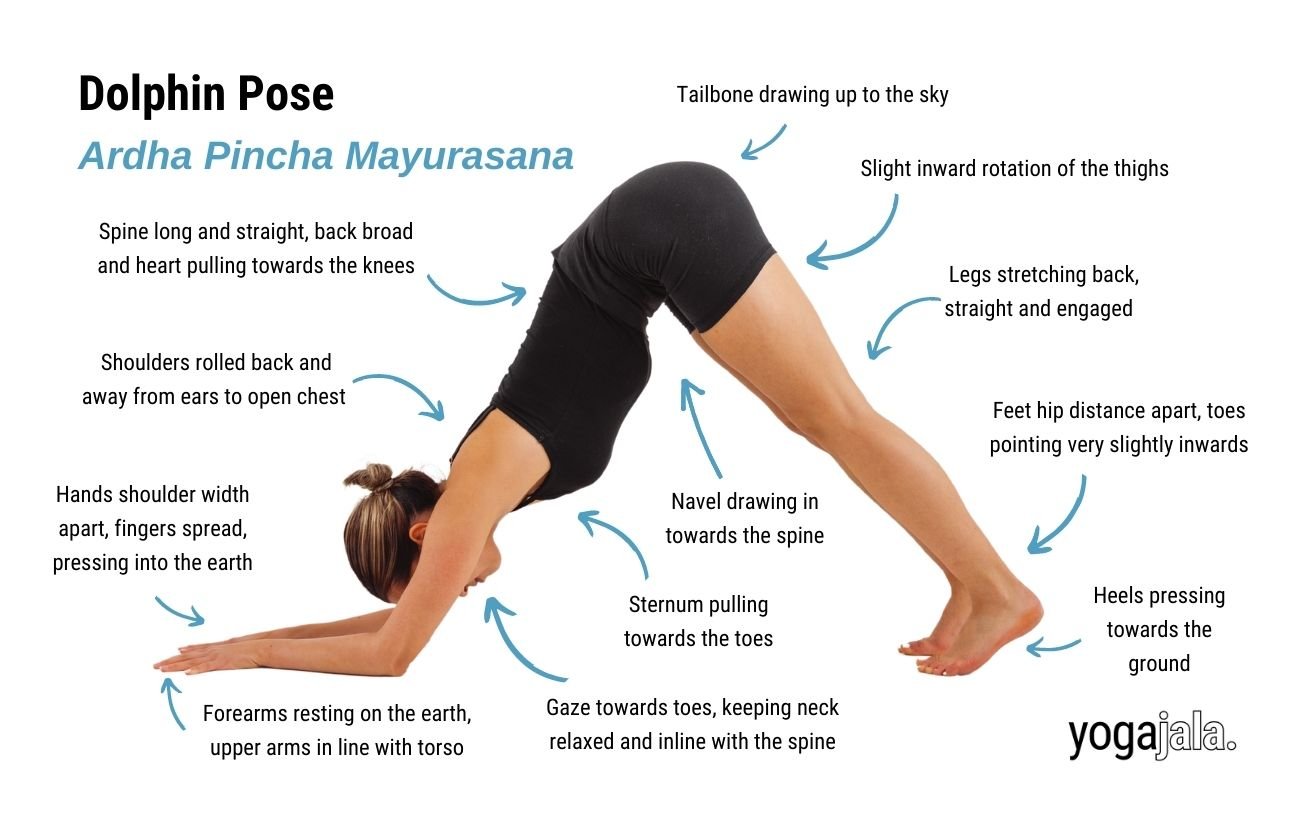 Dolphin Pose (Ardha pincha mayurasana)