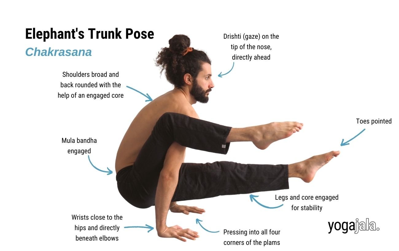 Elephant Trunk Pose (Eka Hasta Bhujasana)