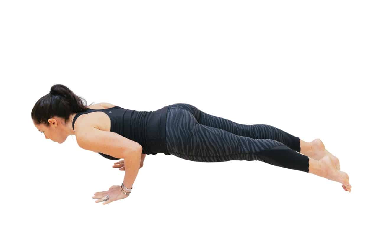 Four Limbed Staff Pose Chaturanga Dandasana