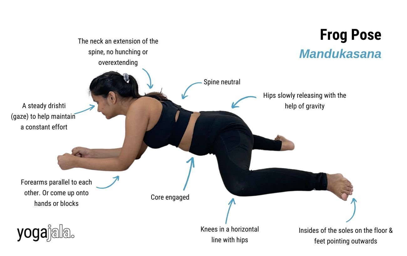 an annotated image of a woman wearing black yoga clothes doing frog pose