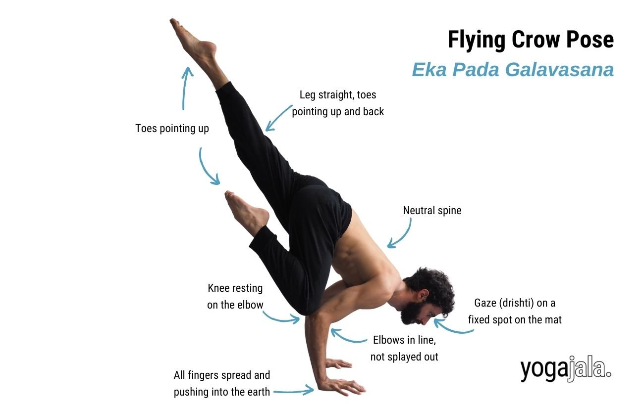 an annotated image of a man in black yoga trousers doing flying crow pose