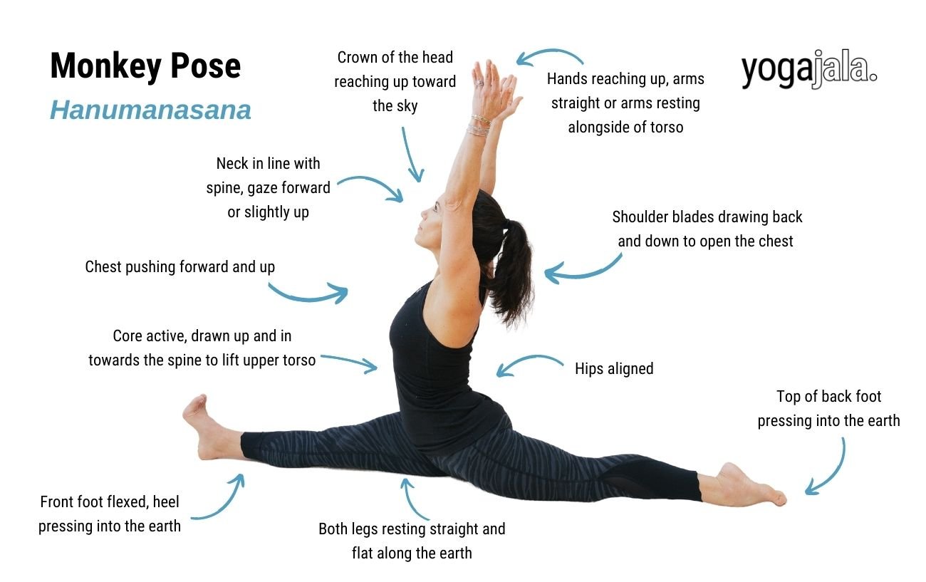 Monkey pose (Hanumanasana)