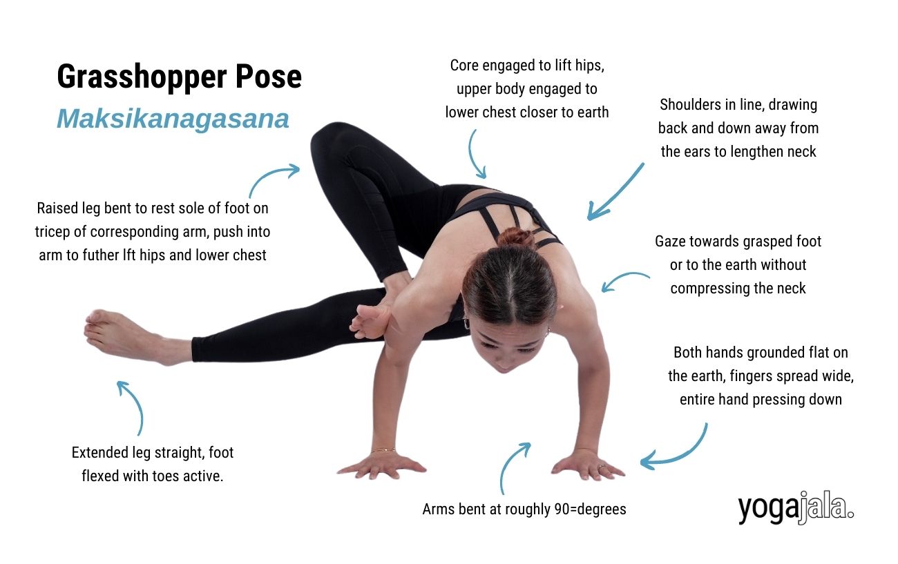 an annotated image of a woman wearing black yoga clothes doing grasshopper pose