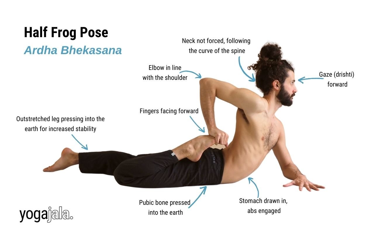 Half Frog Pose (Ardha Bhekasana)