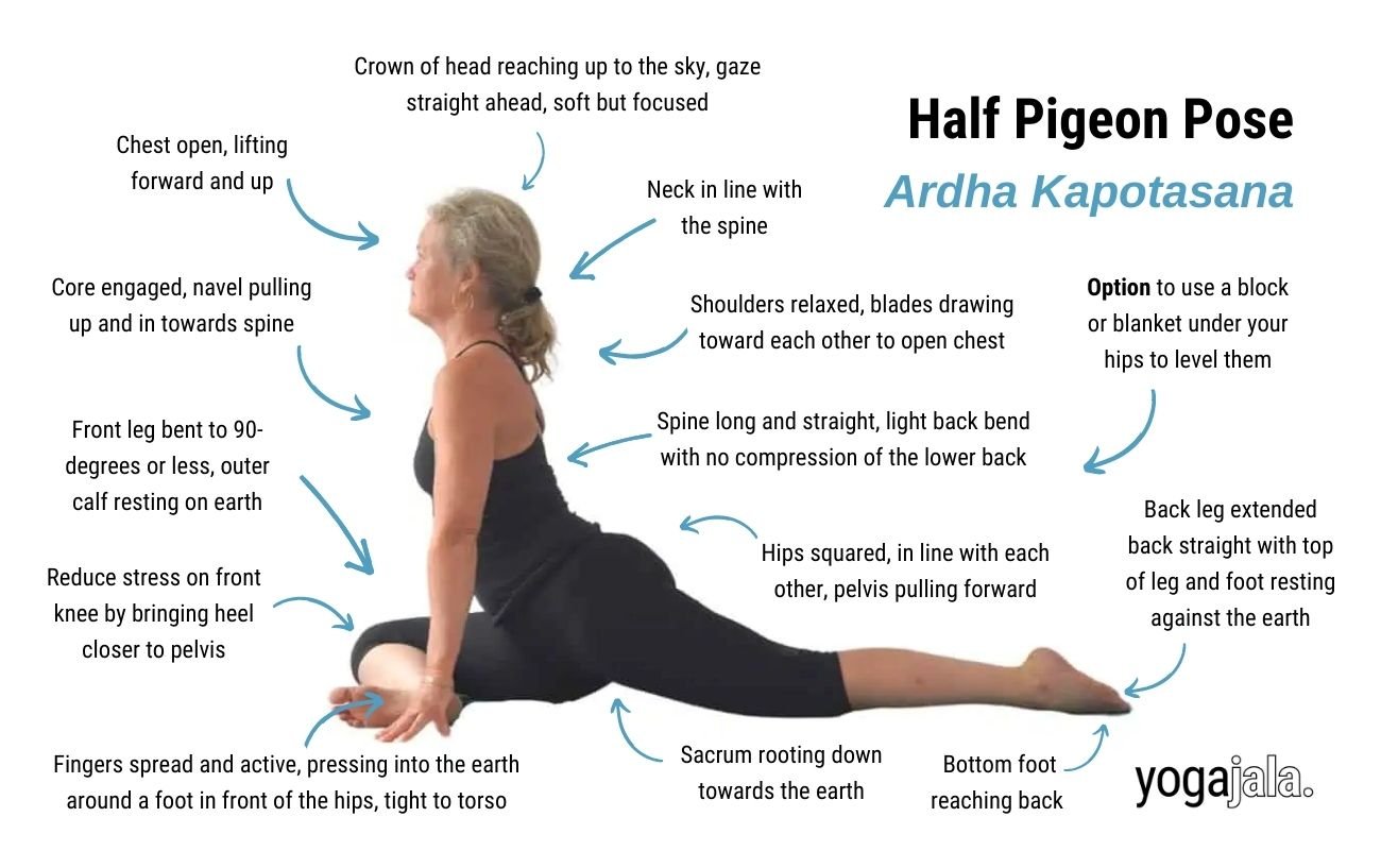 Half Pigeon Pose (Ardha Kapotasana)