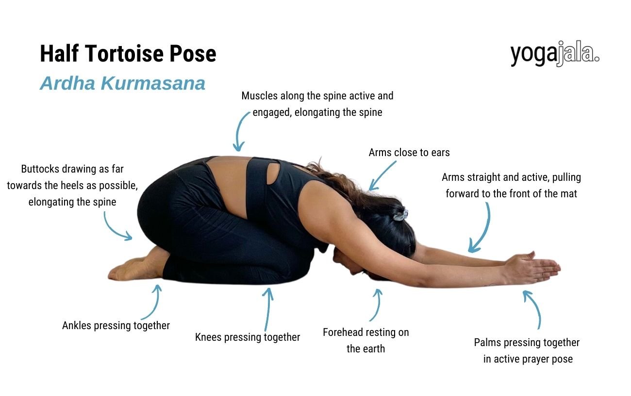 Half Tortoise Pose, Ardha Kurmasana