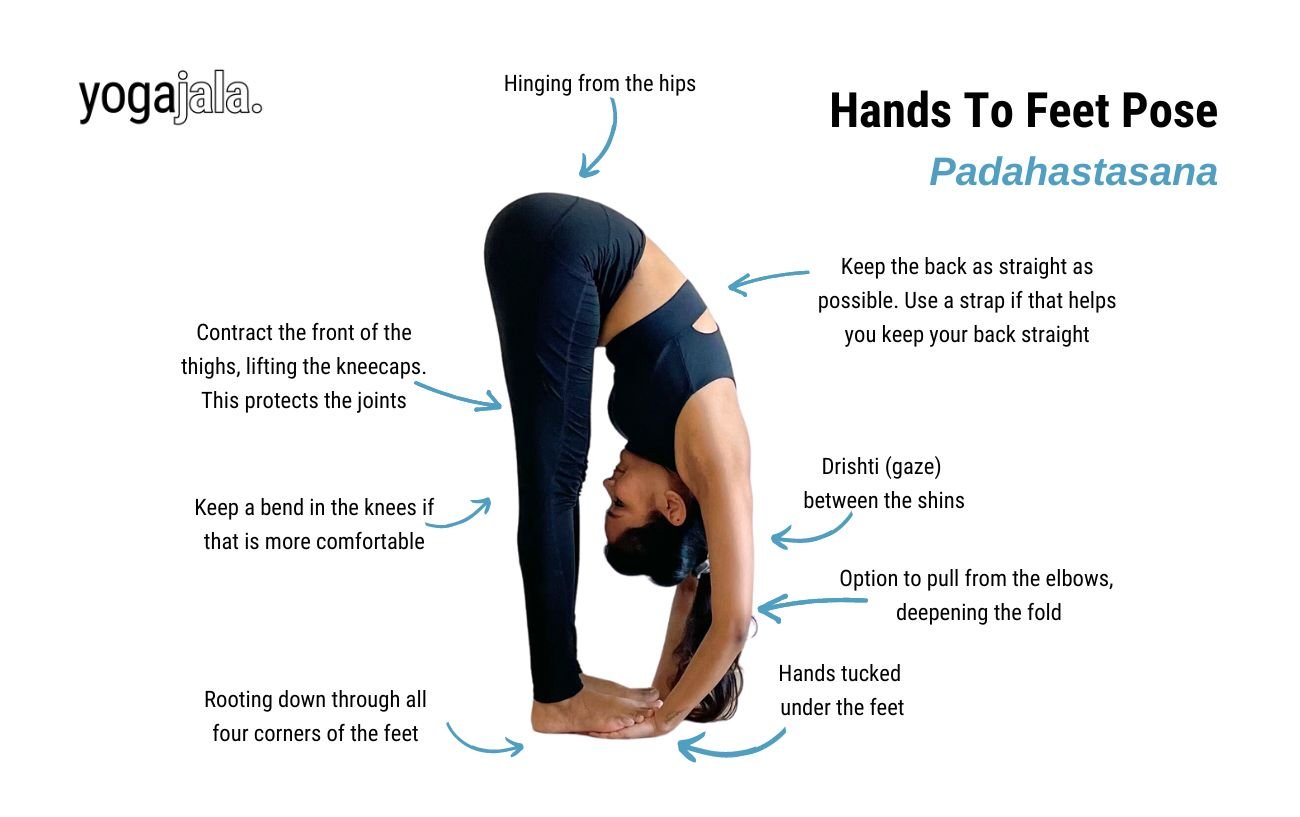 Hands To Feet Pose (Padahastasana)