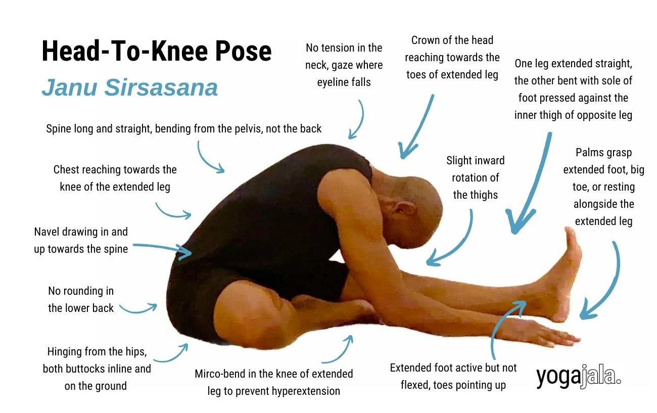 Head-To-Knee Pose (Janu Sirsasana)