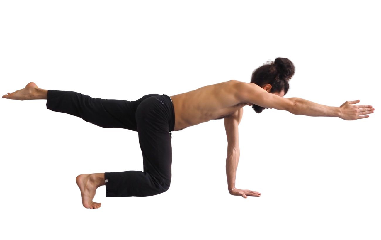 a man in black yoga pants doing hovering bird dog pose