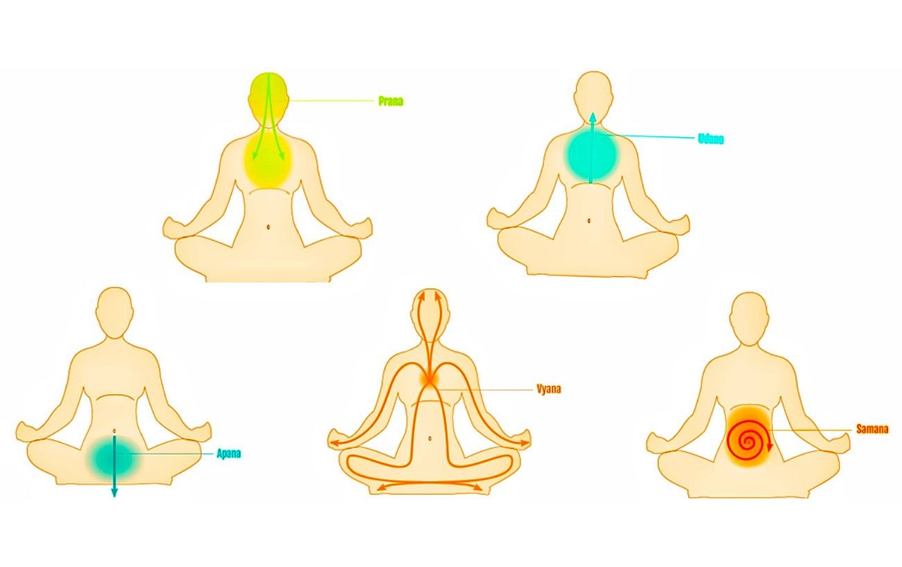 How To Integrate The Five Vayus In Your Yoga Practice 