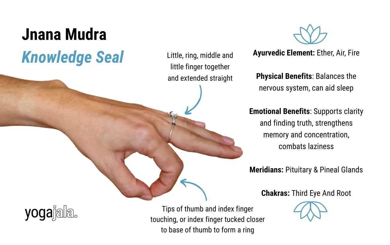 jnana mudra annotated image