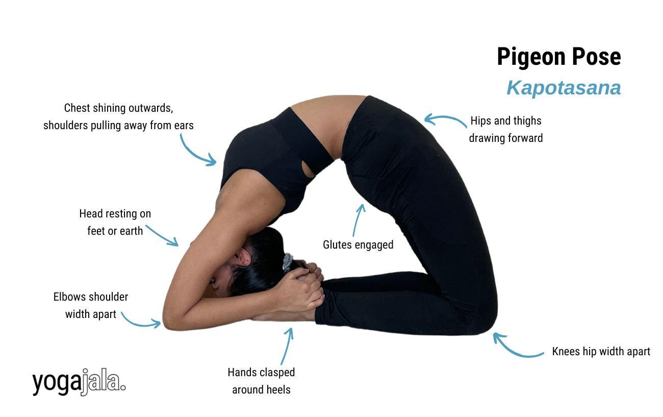 Pigeon Pose (Kapotasana)