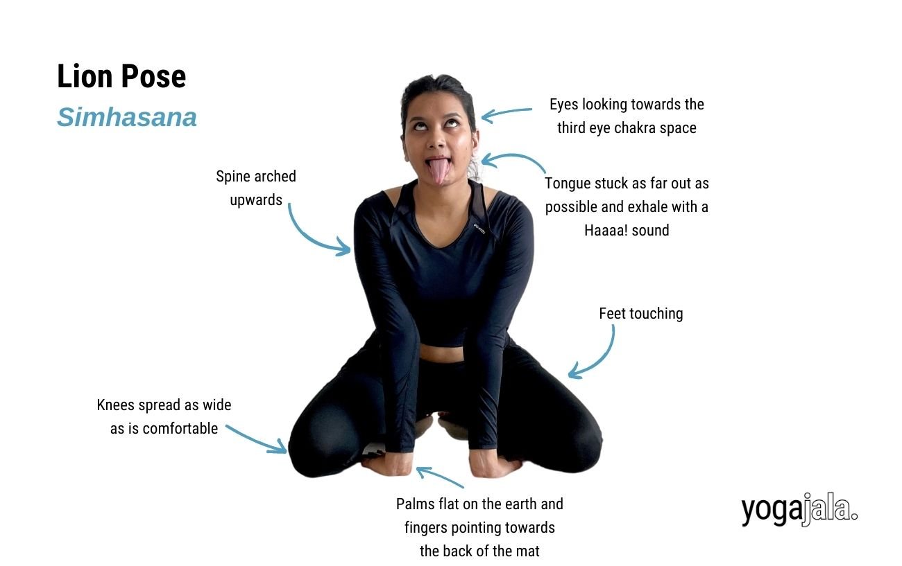 an annotated image of a woman wearing black yoga clothes doing lion pose