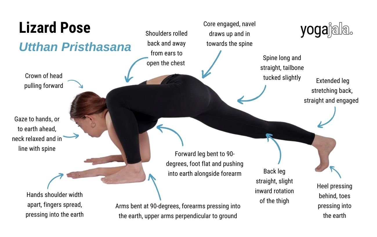 an annotated image of a woman doing lizard pose