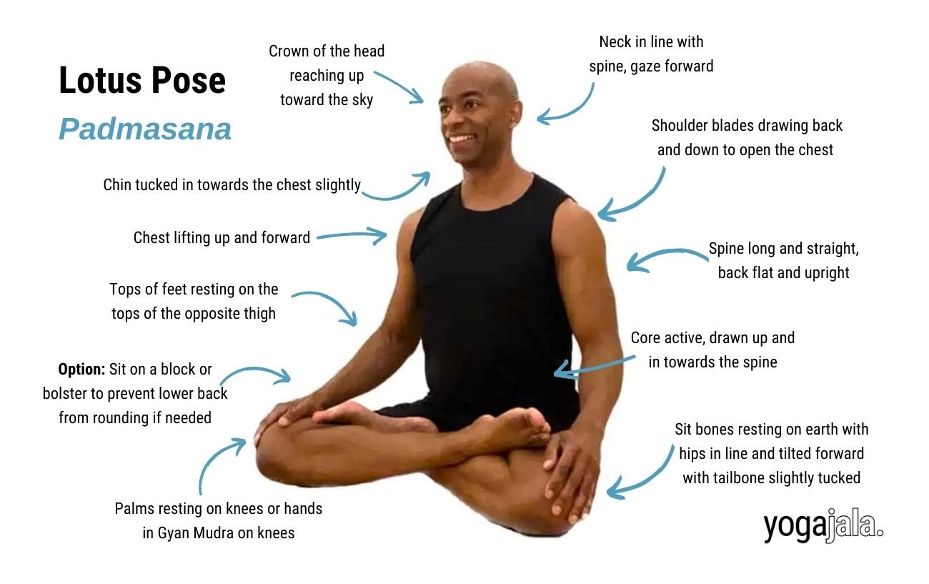 an annotated image of a man wearing black yoga clothes sitting in lotus pose