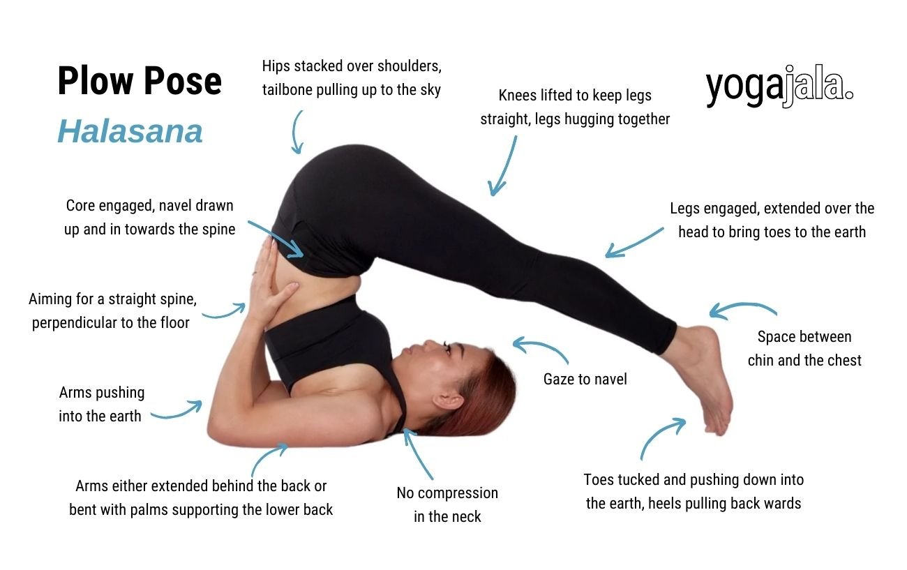 Plow Pose (Halasana)