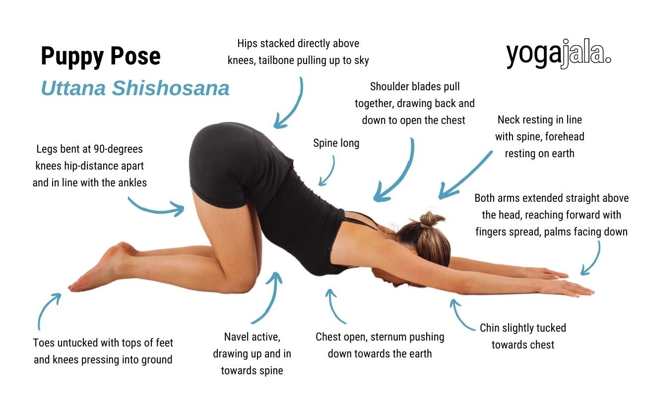 an annotated image of a woman wearing black yoga clothes doing puppy Pose