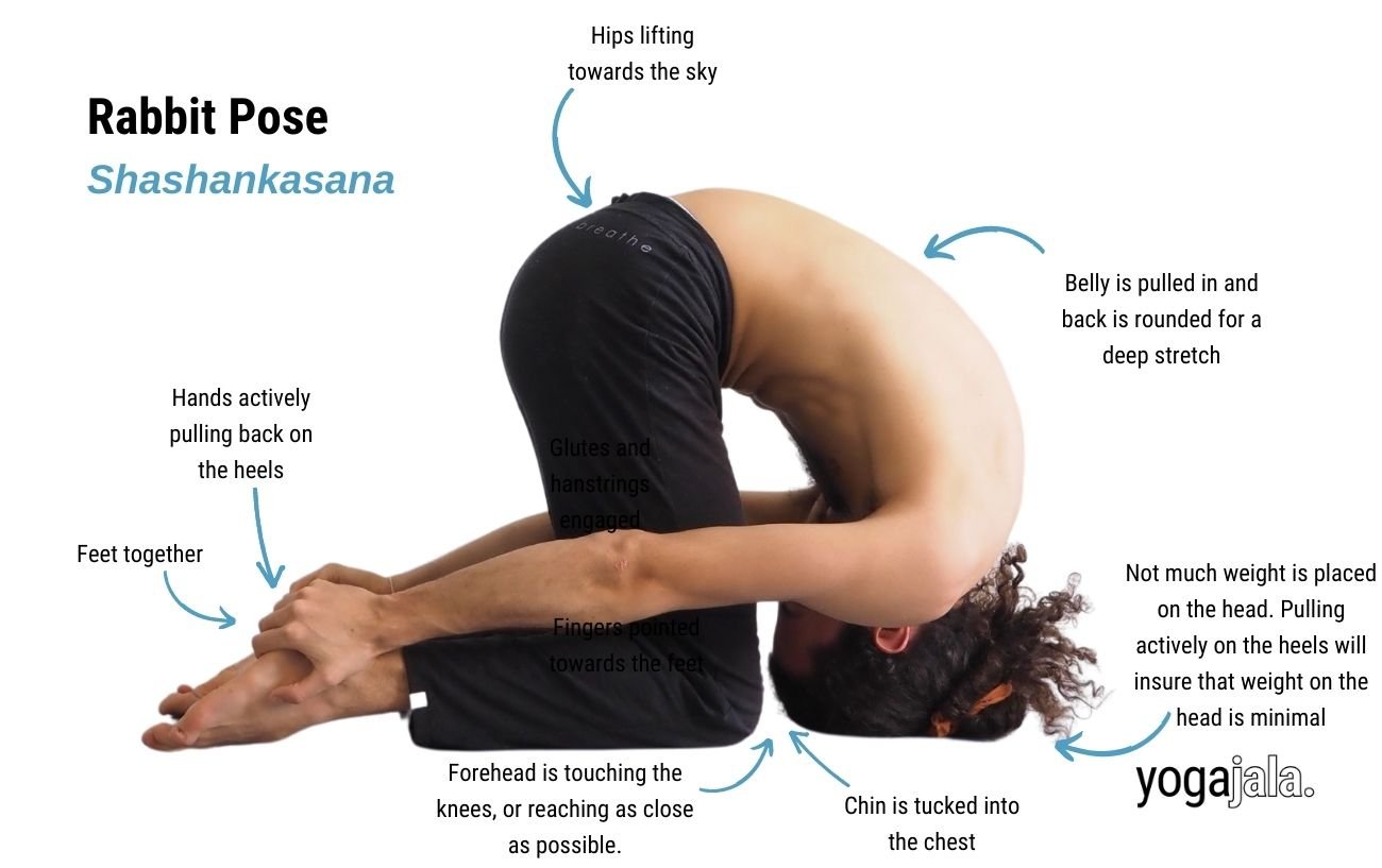 Rabbit Pose (Shashankasana)