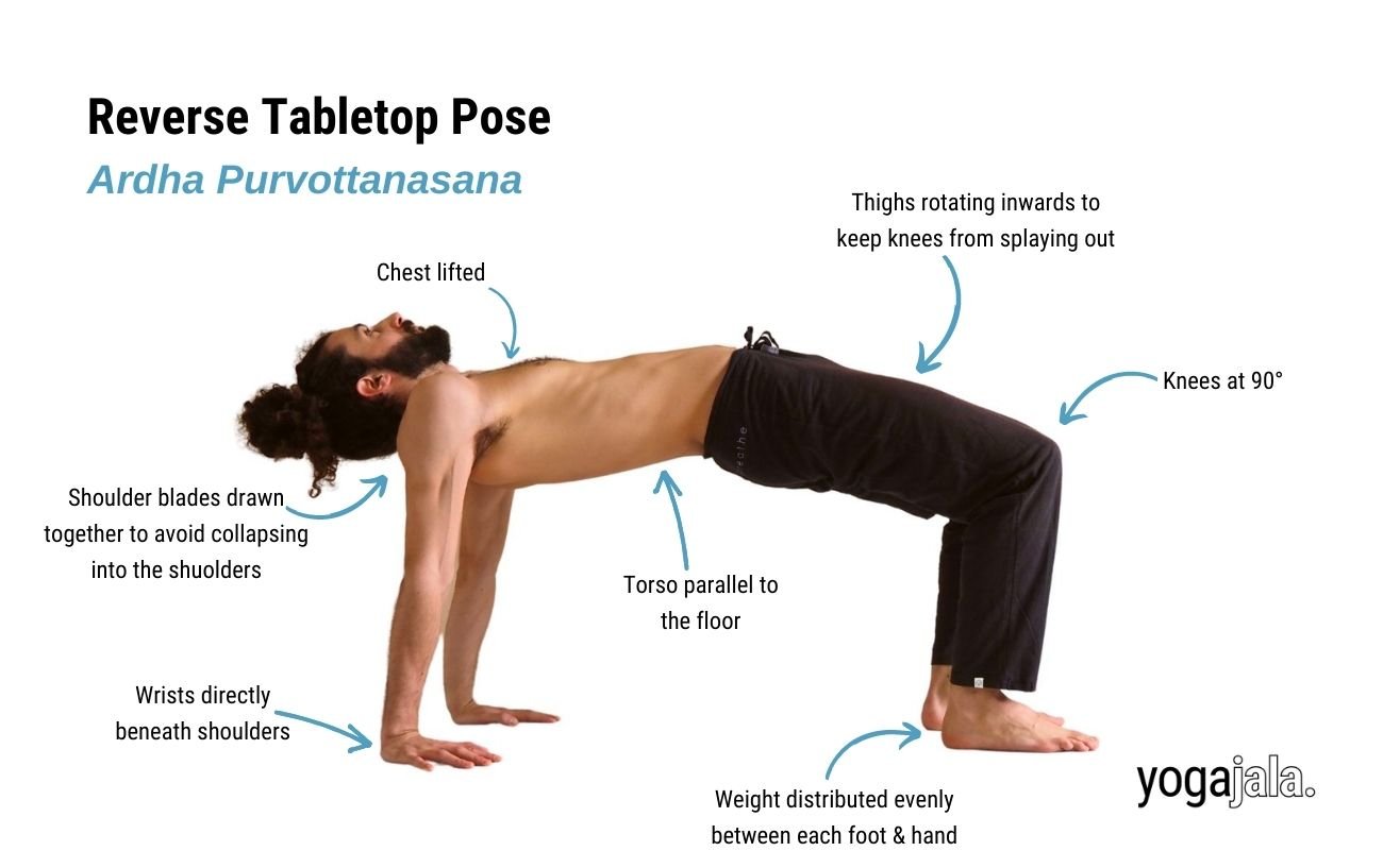 Reverse Tabletop Pose (Ardha Purvottanasana)