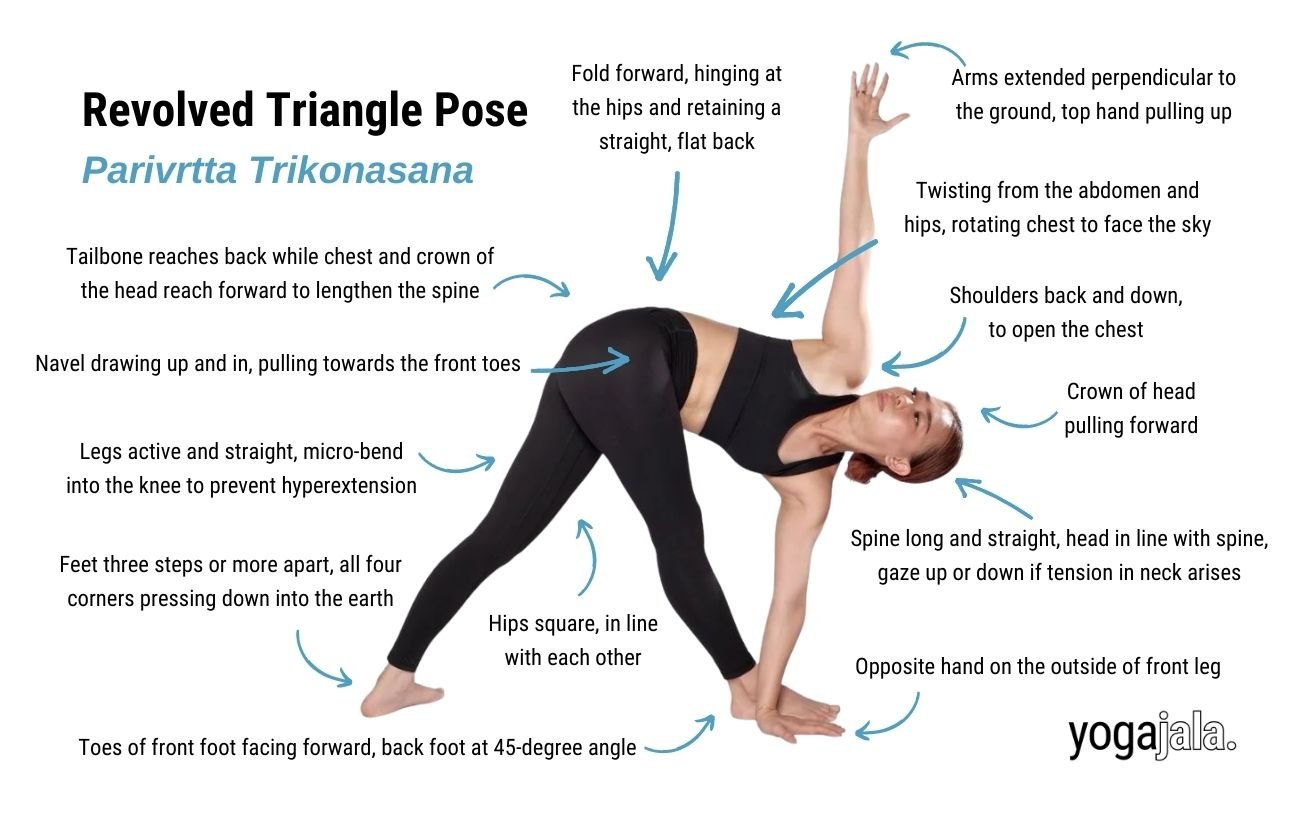 An annotated image of woman wearing black yoga clothes doing revolved triangle pose