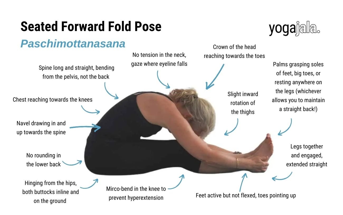 an annotated image of a woman wearing black yoga clothes doing seated forward bend Pose