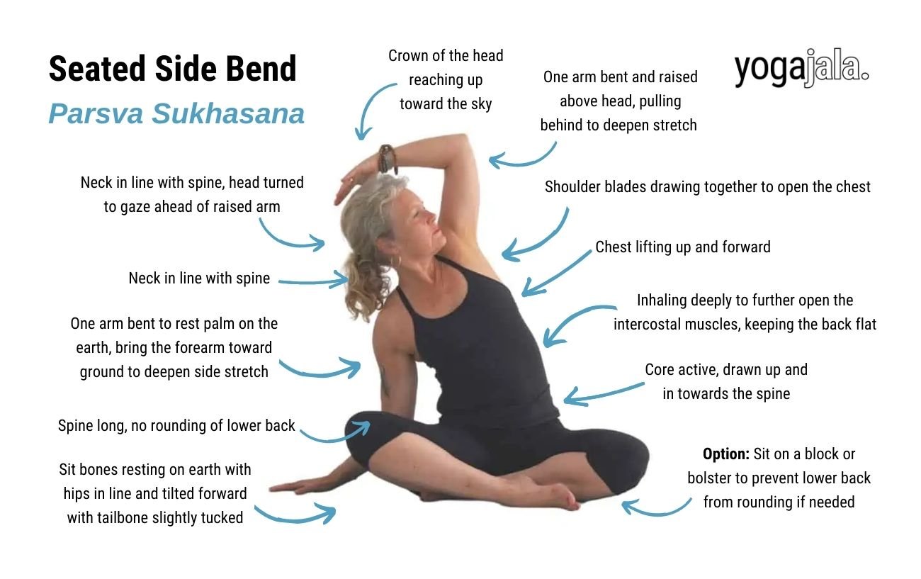 an annotated image of a woman wearing black yoga clothes doing seated side bend Pose