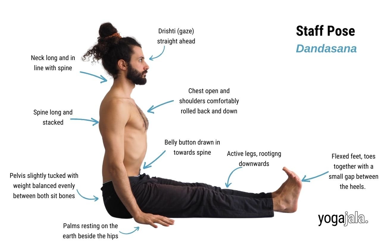 Staff Pose (Dandasana)