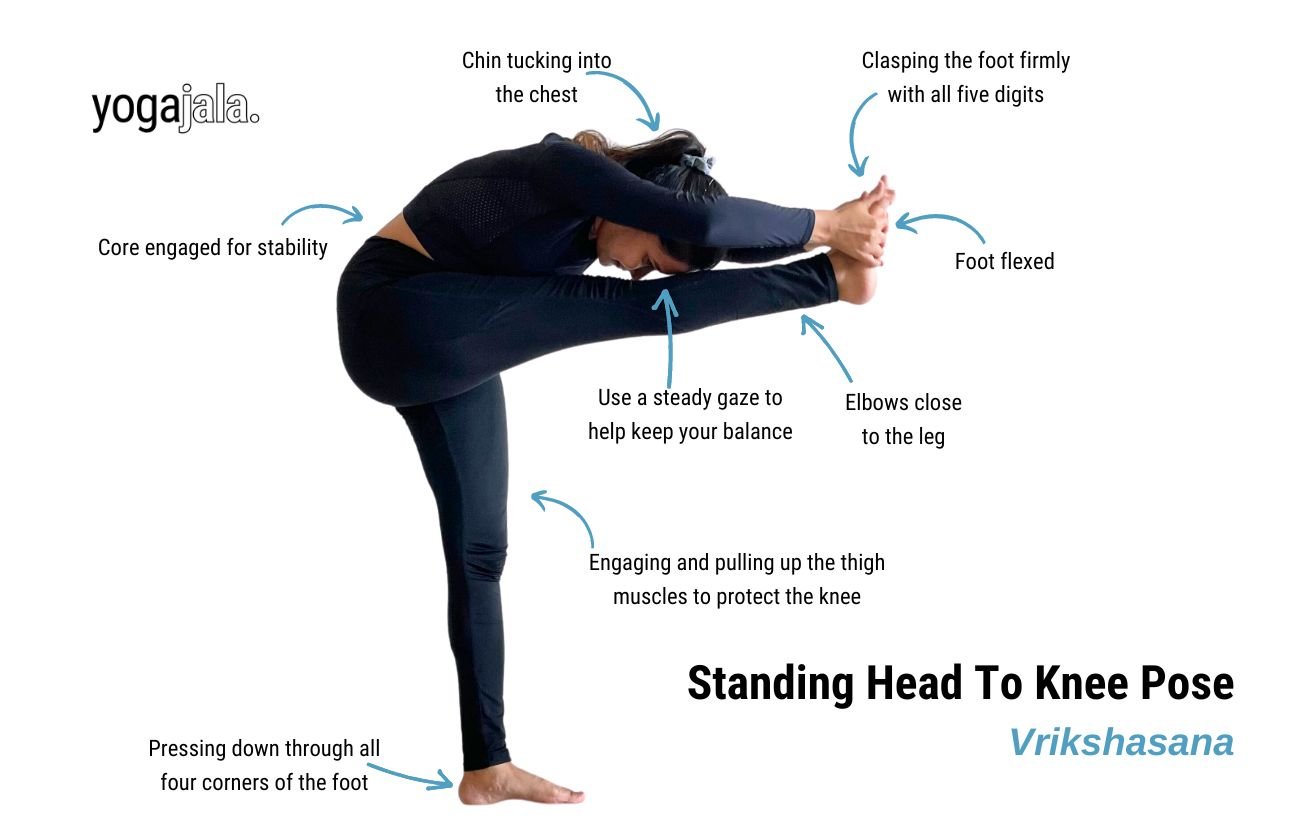 annotated image of a woman wearing black yoga clothes doing standing head to knee pose