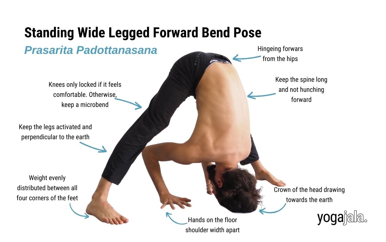 annotated image of a man doing a wide legged forward bend