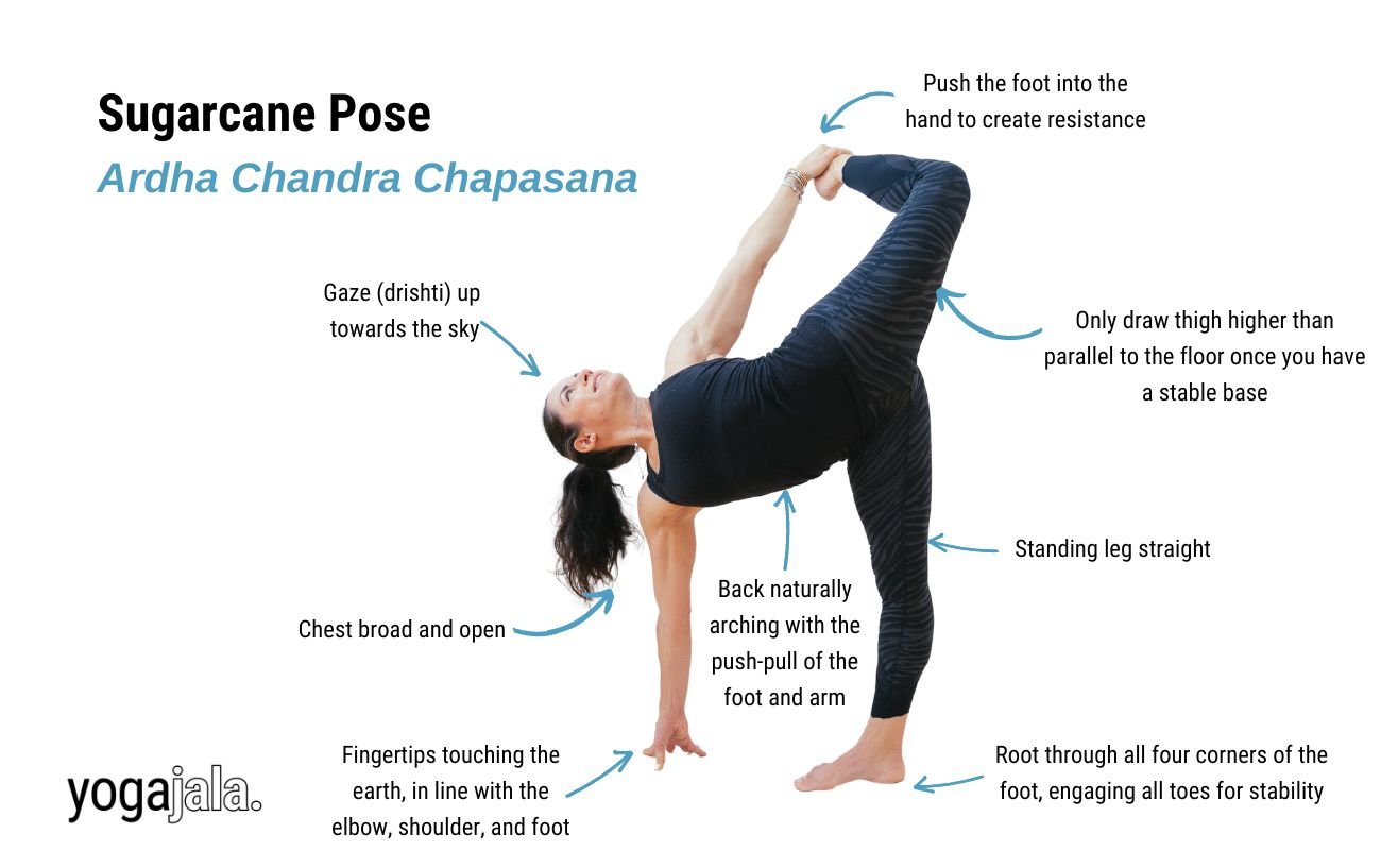 Sugarcane Pose (Ardha Chandra Chapasana)