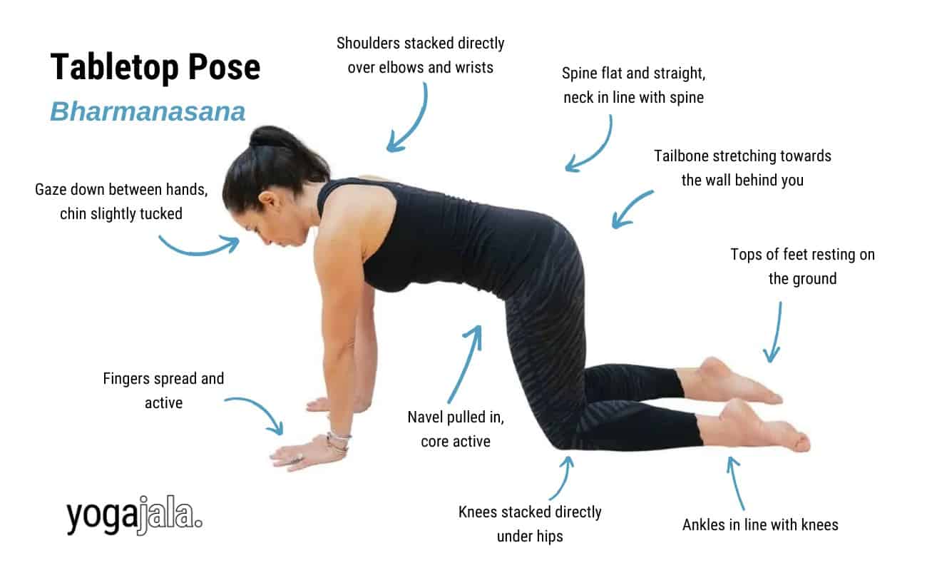 annotated image of a woman doing yoga's tabletop pose