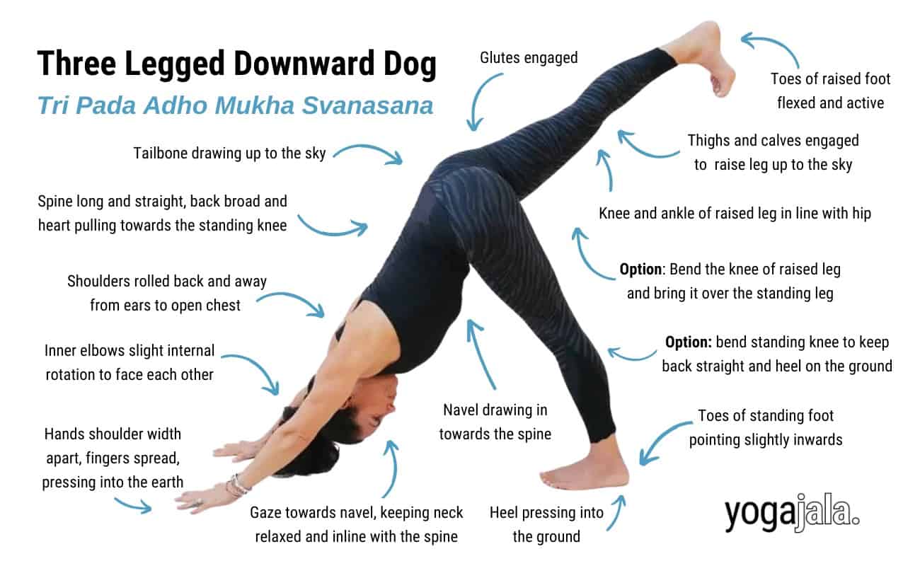 Three Legged Downward Facing Dog Pose (Tri Pada Adho Mukha Svanasana)