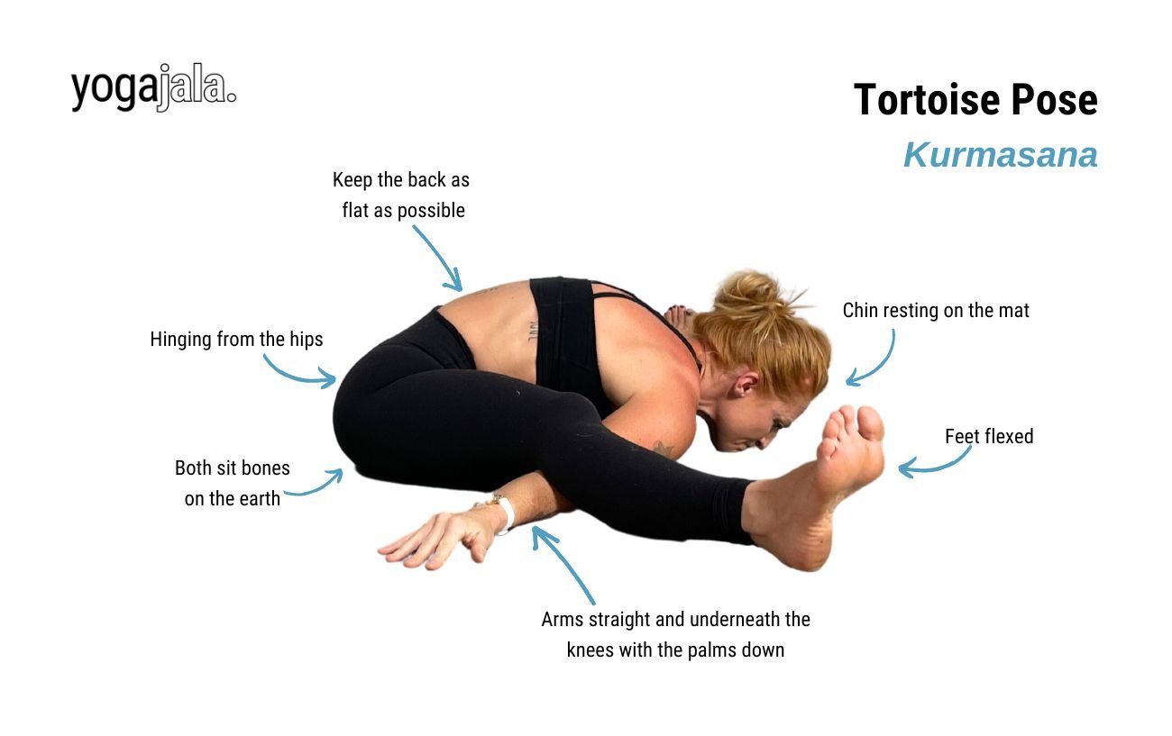 Tortoise Pose (Kurmasana)