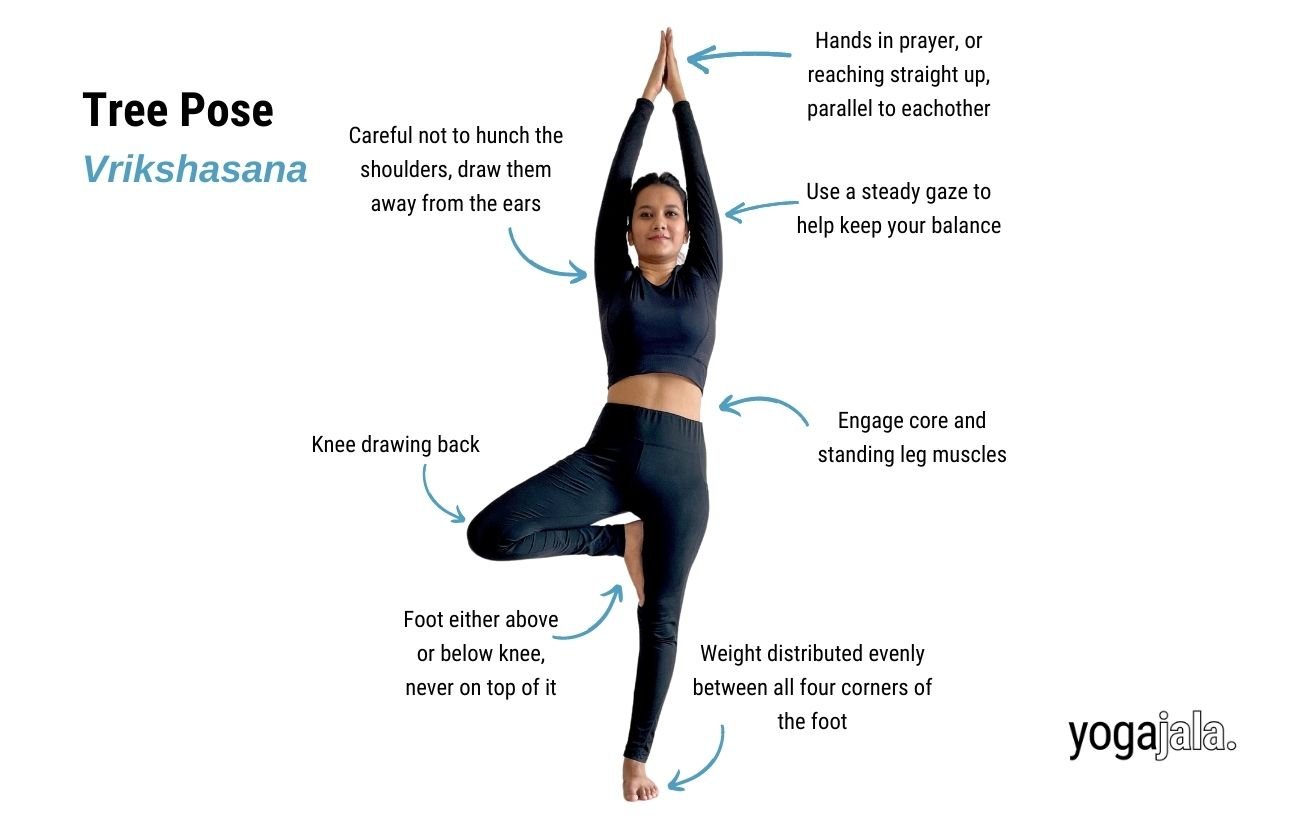 an annotated image of a woman wearing black yoga clothes doing tree pose