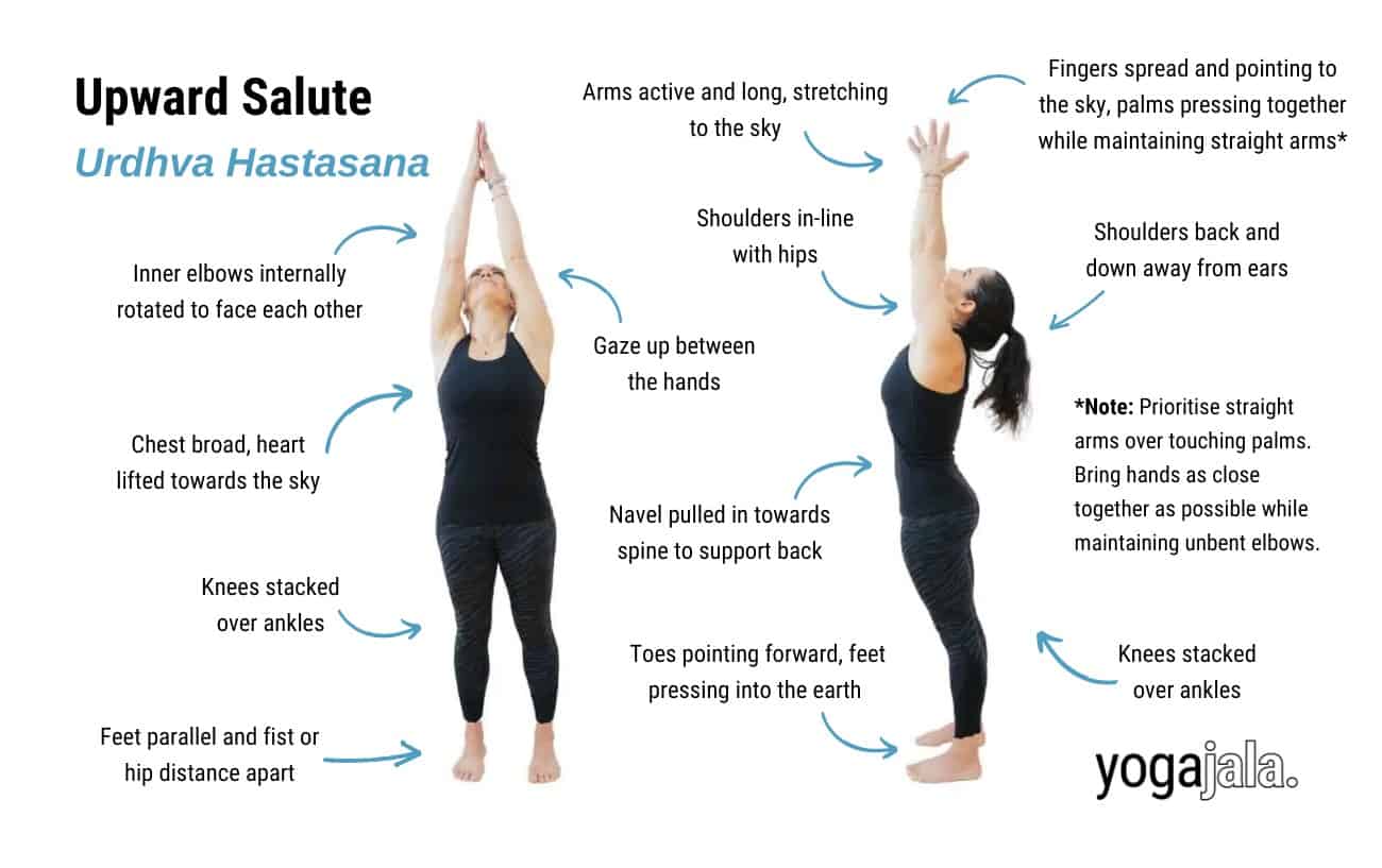 annotated image of a woman doing yoga's upward salute pose