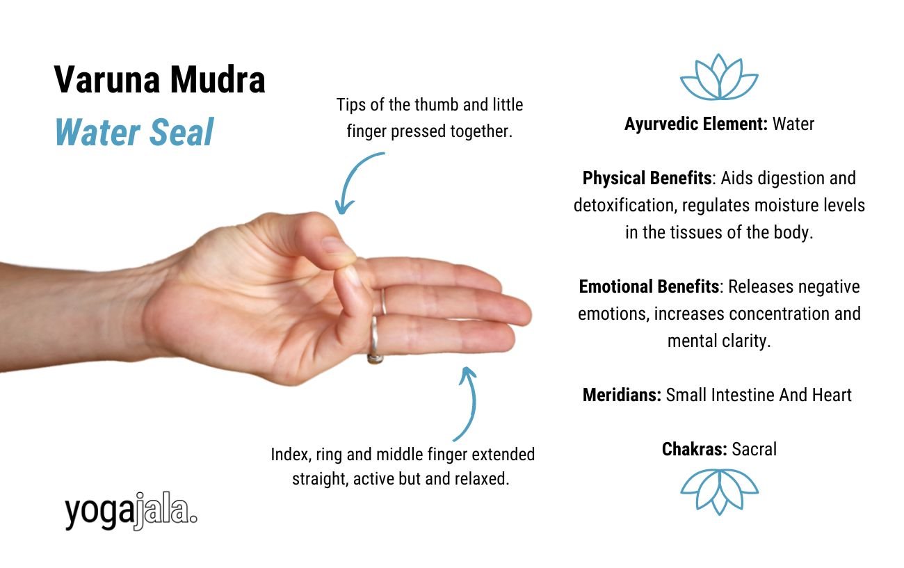 an annotated image of a hand in varuna mudra